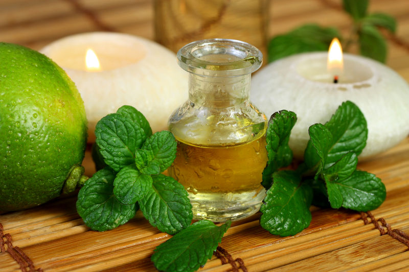 خاصیت نعنا در رفع نفخ دوران بارداری نعنا ضد نفخ