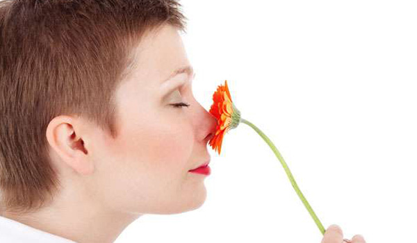 علل از دست رفتن حس بویایی و راه های بازگرداندن آن