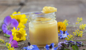 شربت رویال ژلی پروپولیس فیشر کیندر ROYAL JELLY Fischer Kinder