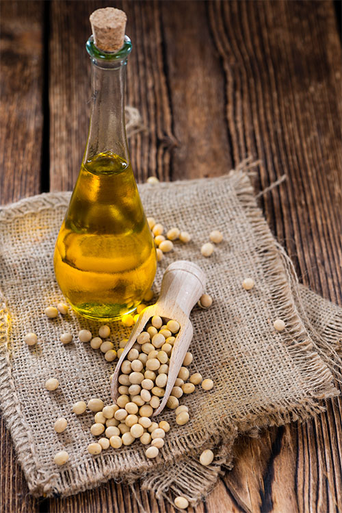 آیا مصرف مکمل های امگا 6 برای بدن ضروری است؟ دانه آفتابگردان