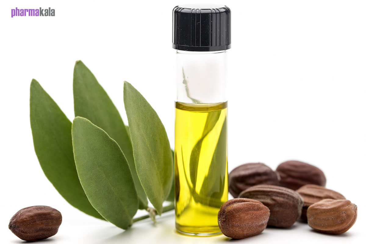 روش صحیح استفاده از جوجوبا