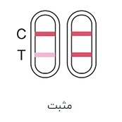 مثبت بی بی چک چگونه است