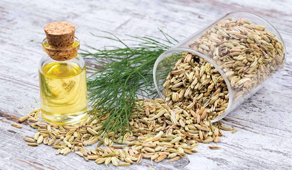 بزرگ کردن سینه با رازیانه بزرگ کردن سینه با رازیانه