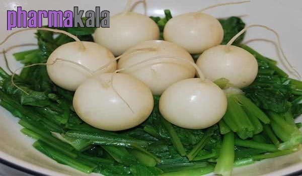 غذاهایی که برای سرماخوردگی خوبند