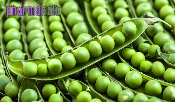 غذاهایی که فیبر دارند
