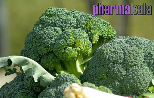 انواع رژیم شیردهی انواع رژیم شیردهی