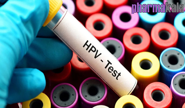 اچ پی وی (HPV) چیست؟