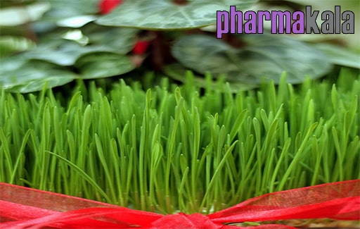خواص هفت سین خواص هفت سین