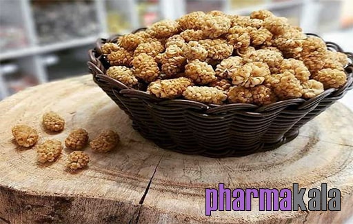 شیرین کننده طبیعی جایگزین شکر