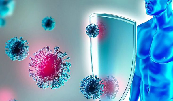 ۱۰ ماده غذایی برتر برای تقویت سیستم ایمنی بدن ۱۰ ماده غذایی برتر برای تقویت سیستم ایمنی بدن