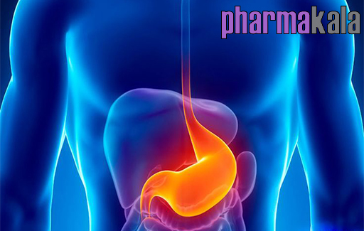 غذاهای ممنوعه برای رفلاکس معده