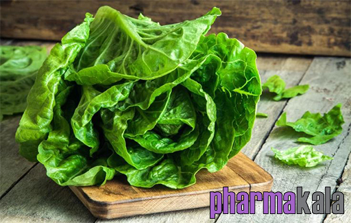 غذاهای ممنوعه برای رفلاکس معده