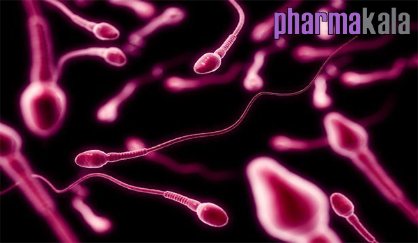 تغذیه مناسب برای افزایش سرعت اسپرم تغذیه مناسب برای افزایش سرعت اسپرم