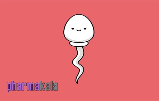 تغذیه مناسب برای افزایش سرعت اسپرم تغذیه مناسب برای افزایش سرعت اسپرم