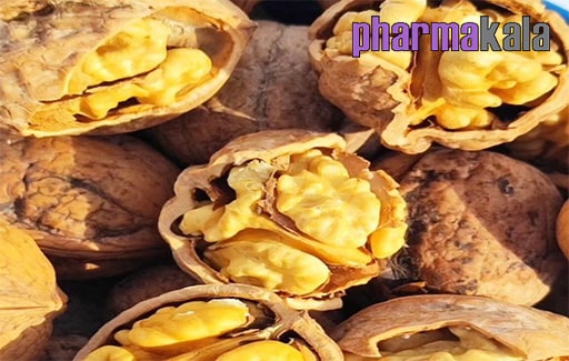 تغذیه مناسب برای افزایش سرعت اسپرم تغذیه مناسب برای افزایش سرعت اسپرم