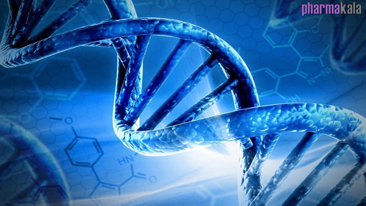 تغذیه شخصی سازی شده با DNA
