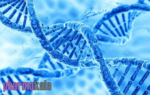 تغذیه شخصی سازی شده با DNA