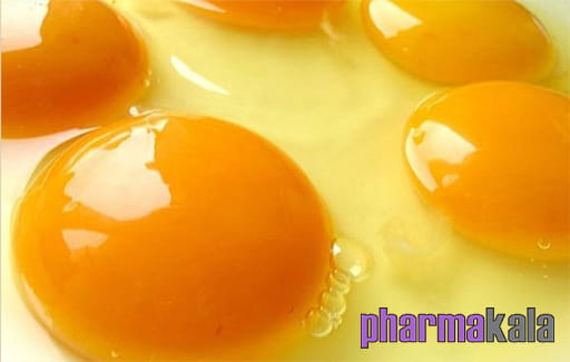 امگا-۳ و ویتامین D برای کاهش اضطراب و افسردگی امگا-۳ و ویتامین D برای کاهش اضطراب