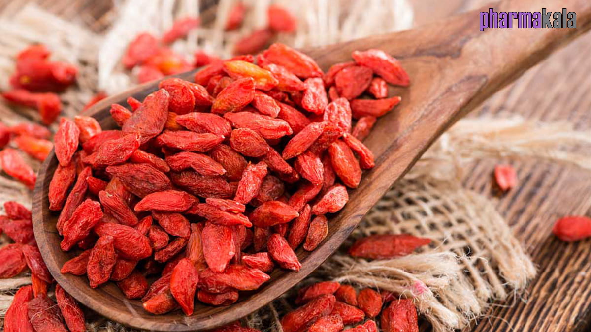 بربرین چیست؟ بررسی کامل علمی، نحوه مصرف، عوارض و مقایسه با Ozempic