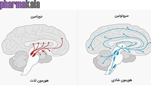رژیم دوپامین برای لاغری