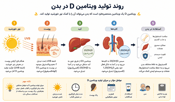 آیا مصرف ویتامین D در تابستان ضروری است؟ کمبود ویتامین دی در تابستان