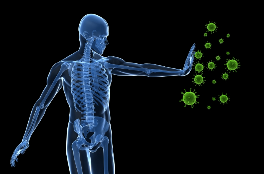 مکمل های حاوی گیاه عشقه برای رفع سرفه تقویت سیستم ایمنی بدن